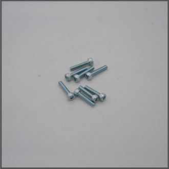 Screws 2.5 ø x 12 front shoulders (MZ728)