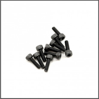 Screw allen cilinderhead  m3x10 (10) (SER110129)