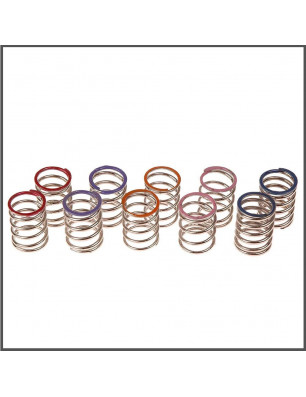 Spring set L23 (5) (SER160310) (1) SPARE PARTS SERPENT