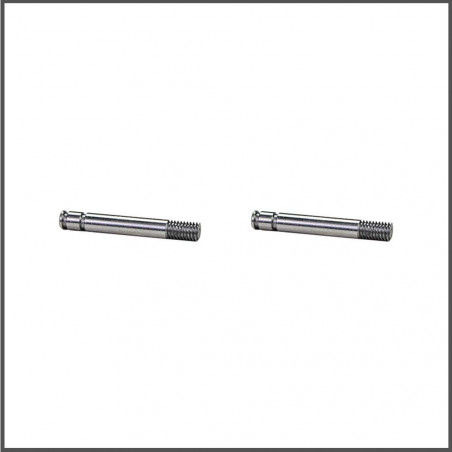 Shock shaft (2) x20 (SER401836)