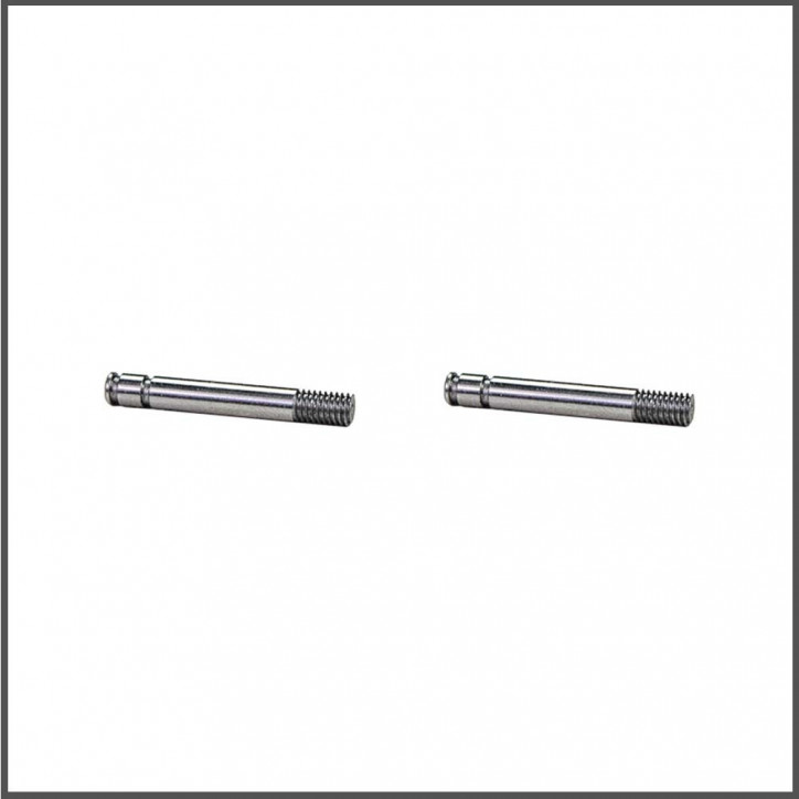 Shock shaft (2) x20 (SER401836)