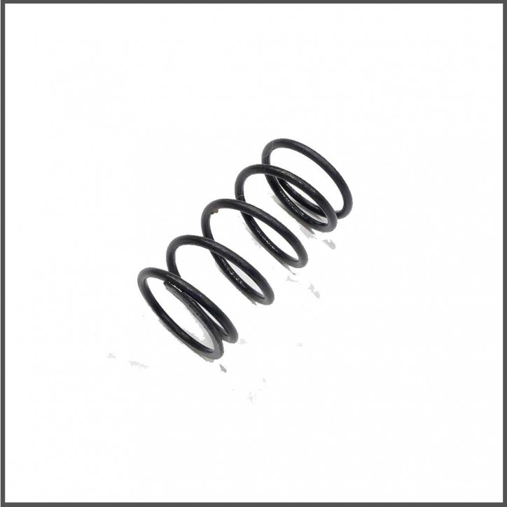 Center spring 12lbs s120l (SER411214)