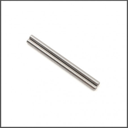 Pivot pin fr up (2) (SER804118)