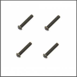 Special screw fr whisbone (4) (SER600326)