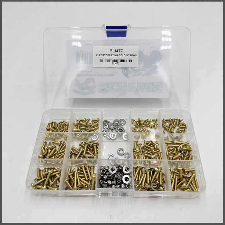 Electroplating gold screws (BLI477)