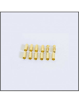 PLUG 4MM GOLD + TUBES GOLD ELECTRONICS ORION