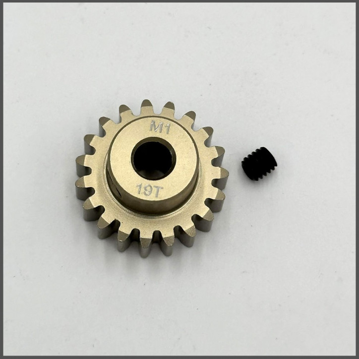 Pinion gear 1/8 electric ergal 19t