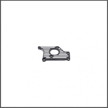 Motor plate 989e (SER904188)