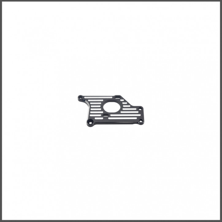 Motor plate 989e (SER904188)