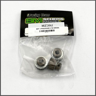 Z18 ergal 3 pulley kit