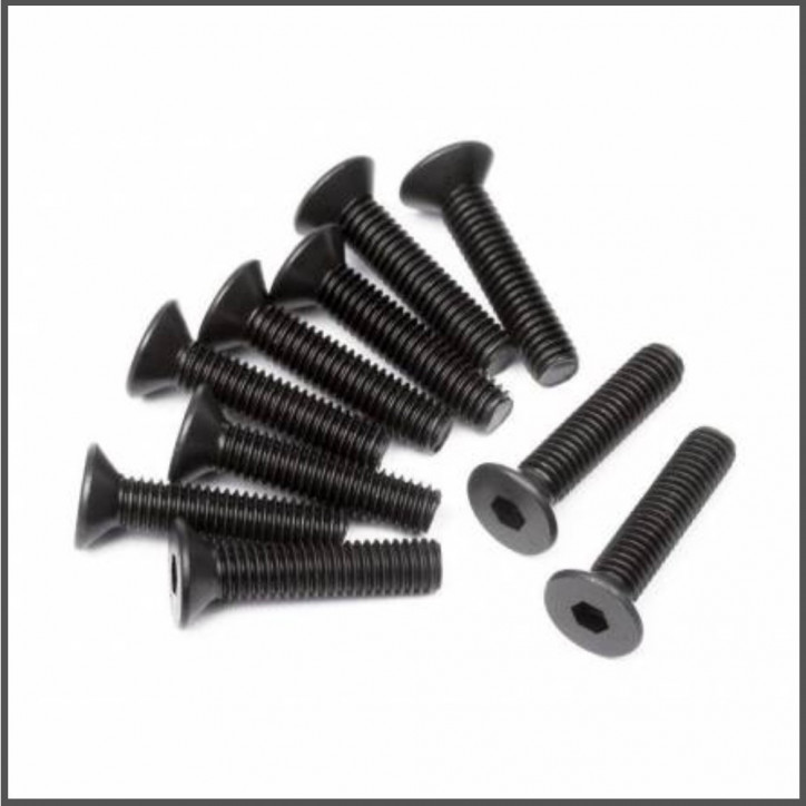 Flat head screw m3x14mm (hex socket/10pcs) (HB100556)