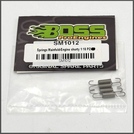 Springs manifold-engine shorty 1/10 (SM1012)