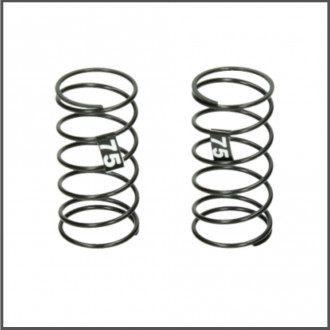 Front spring 75 (d418)