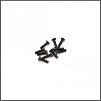 SWORKz FH/ST Screw M4x16mm (10) (SW108012)