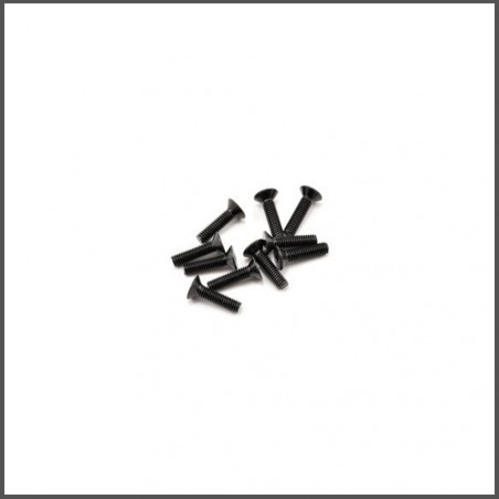 SWORKz FH/ST Screw M4x16mm (10) (SW108012)