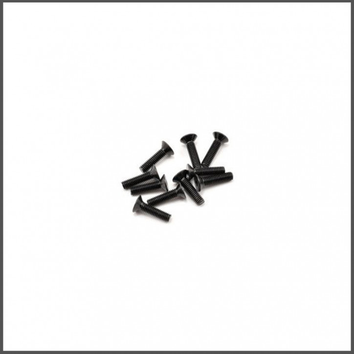 SWORKz FH/ST Screw M4x16mm (10) (SW108012)