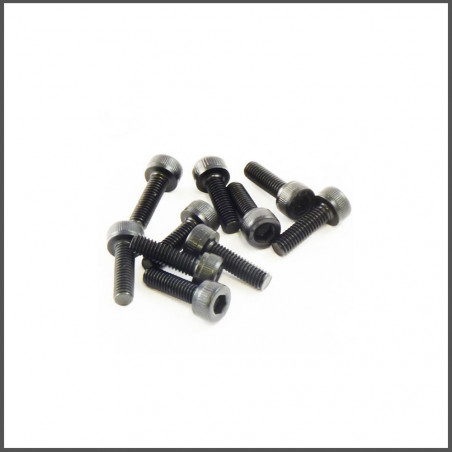 SWORKz Cap Screw M3x10mm (10) (SW105012)