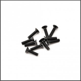 SWORKz FH/ST Screw M4x16mm (10) (SW108012)