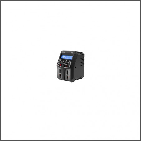 Battery Charger T100 (SK-100162-02)