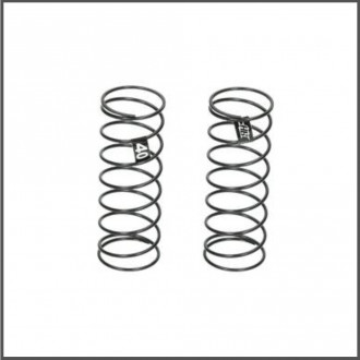 Rear spring 40 (d418)