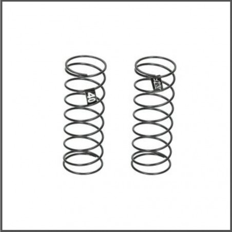 Rear spring 40 (d418) (HB204389)