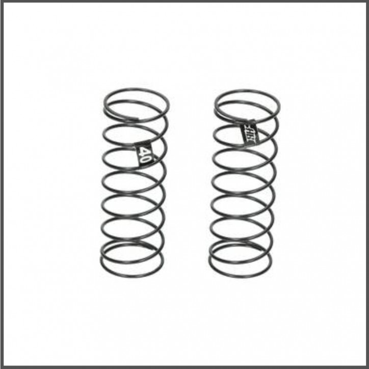 Rear spring 40 (d418) (HB204389)