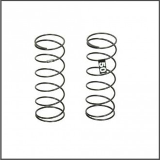 Rear spring 50 (d418) (HB204391)