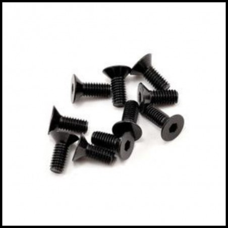 SWORKz FH/ST Screw M4x10mm (10) (SW108010)