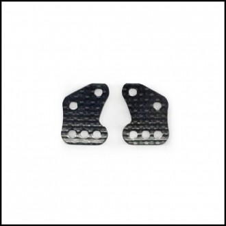 Carbon Rear Plates (2 pcs)