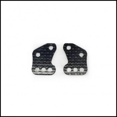Carbon Rear Plates (2 pcs)