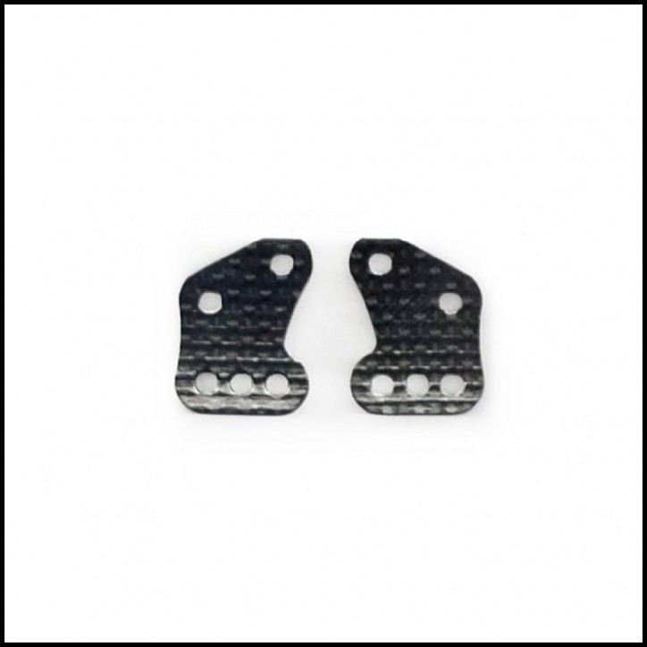 Carbon Rear Plates (2 pcs)