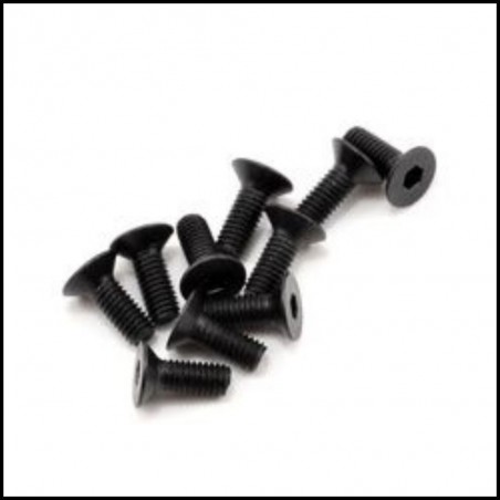 SWORKz FH/ST Screw M3x8mm (10) (SW108006)