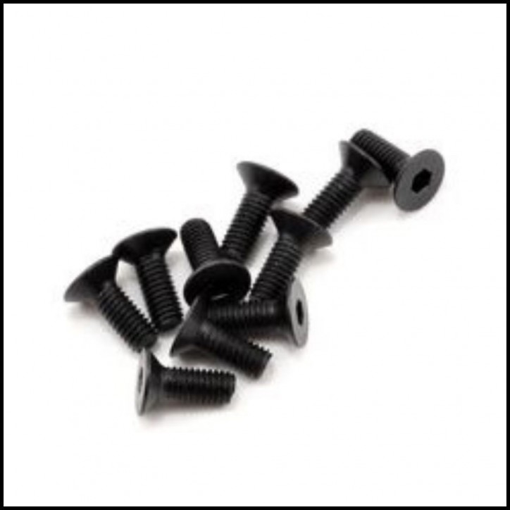 SWORKz FH/ST Screw M3x8mm (10) (SW108006)