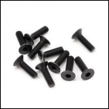 SWORKz FH/ST Screw M3x10mm (10) (SW108003)