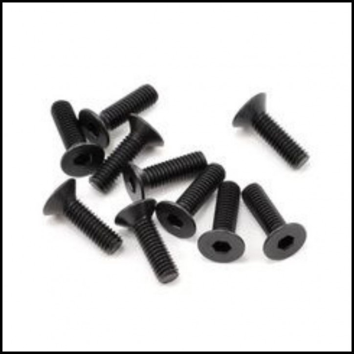 SWORKz FH/ST Screw M3x10mm (10) (SW108003)