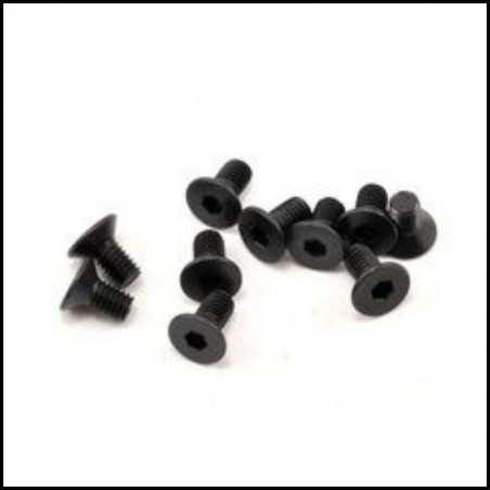 FH/ST Screw M3x6mm (10)  (sw108007)