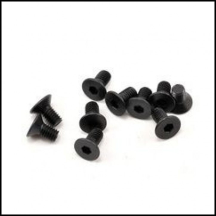 FH/ST Screw M3x6mm (10)  (sw108007)