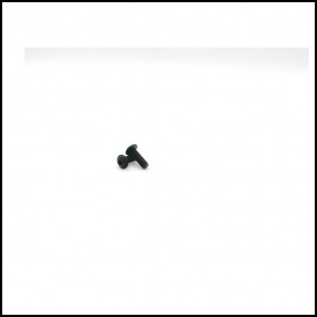 Hex Soket OH/TP Screw M4x12mm (8) (sw106024)