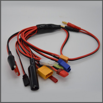 Charge wire - 10 output