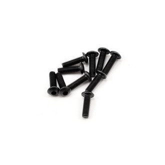 SWORKz Hex Soket OH/TP Screw M3x10mm (10) (SW106002)