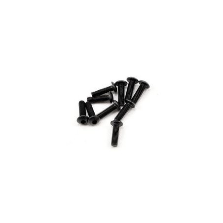 SWORKz Hex Soket OH/TP Screw M3x10mm (10) (SW106002)