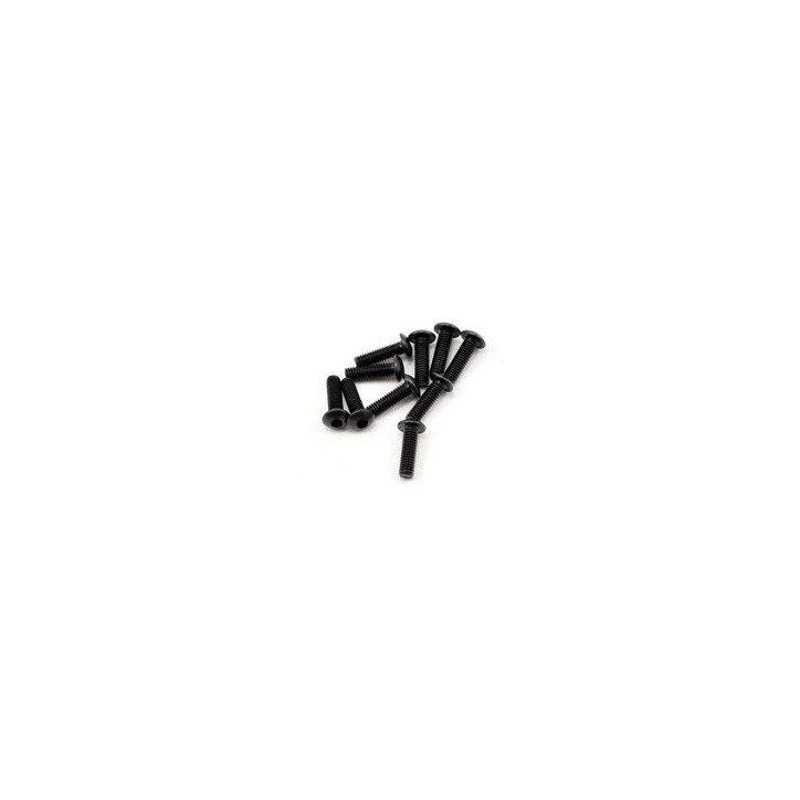 SWORKz Hex Soket OH/TP Screw M3x10mm (10) (SW106002)