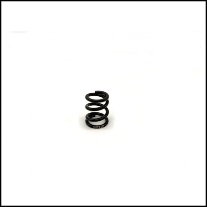 SWORKz S35-4 EVO series Servo Saver Spring(Hard 2.4)