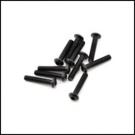 SWORKz Hex Soket OH/TP Screw M3x15mm (10)