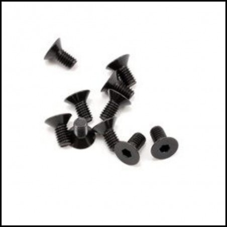 SWORKz FH/ST Screw M4x8mm (10)