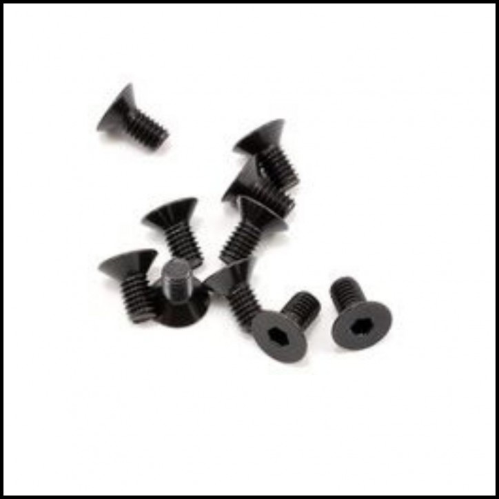 SWORKz FH/ST Screw M4x8mm (10)