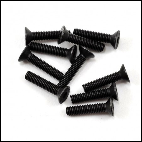 Screw allen countersunk M3x14 (10) (SER110184)